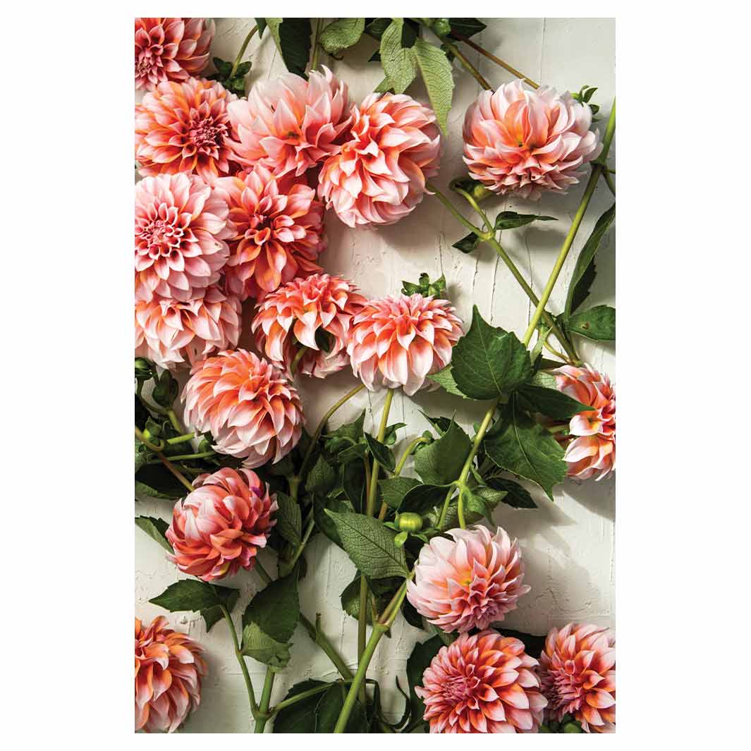 FLORAL ORANGE SCATTERED DAHLIAS WITH LEAVES RECTANGULAR RUG