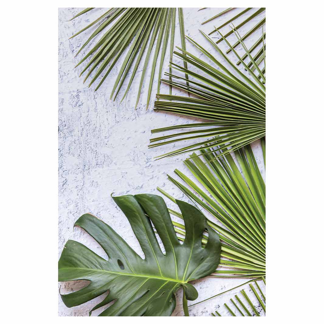 LEAVES GREEN PALM LEAVES ON WHITE RECTANGULAR RUG