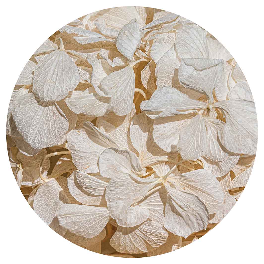 FLORAL CREAM BLEACHED HYDRANGEA LEAVES SERVING BOARD