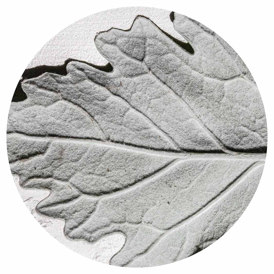 LEAVES GREY MONOCHROME LEAF SERVING BOARD