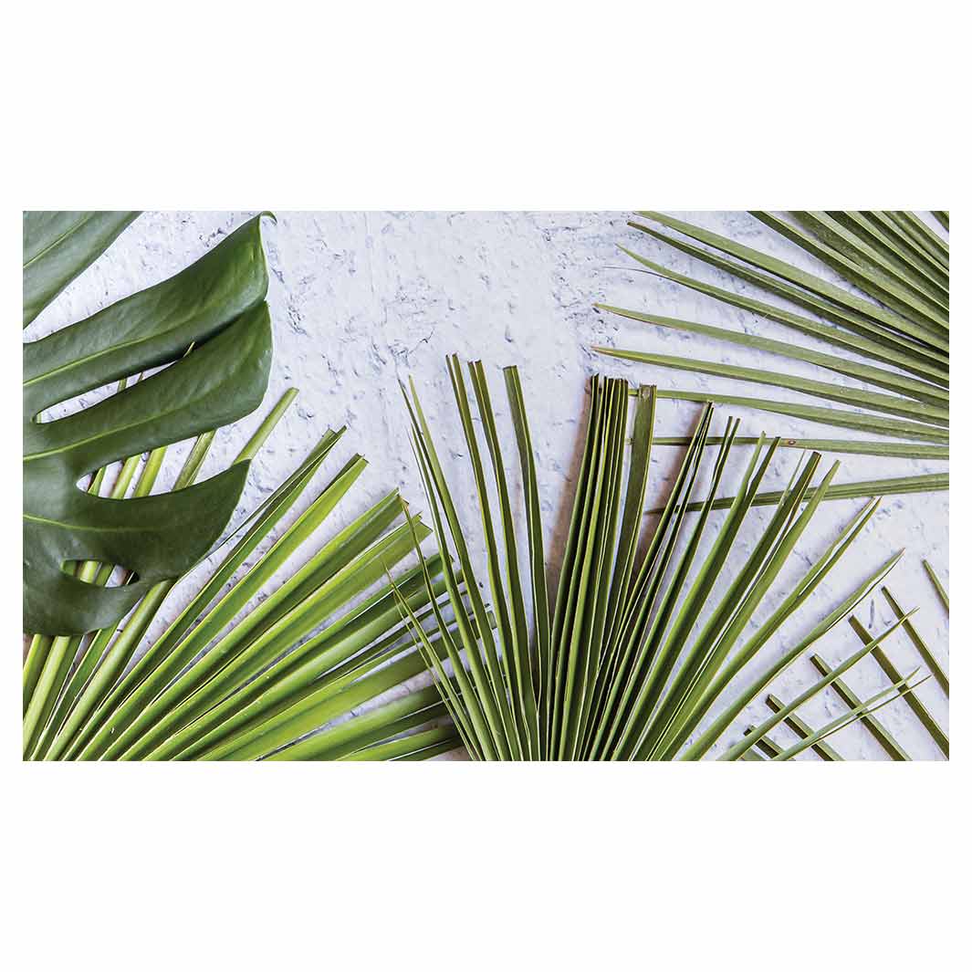 LEAVES GREEN PALM LEAVES ON WHITE RECTANGULAR SCATTER CUSHION