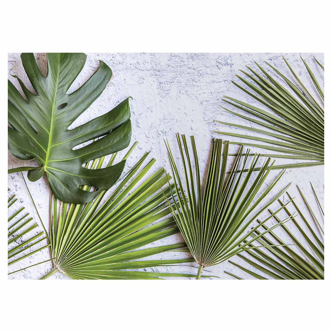 LEAVES GREEN PALM LEAVES ON WHITE TABLECLOTH