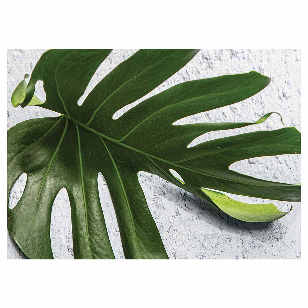 LEAVES GREEN MONSTERA LEAF TABLECLOTH