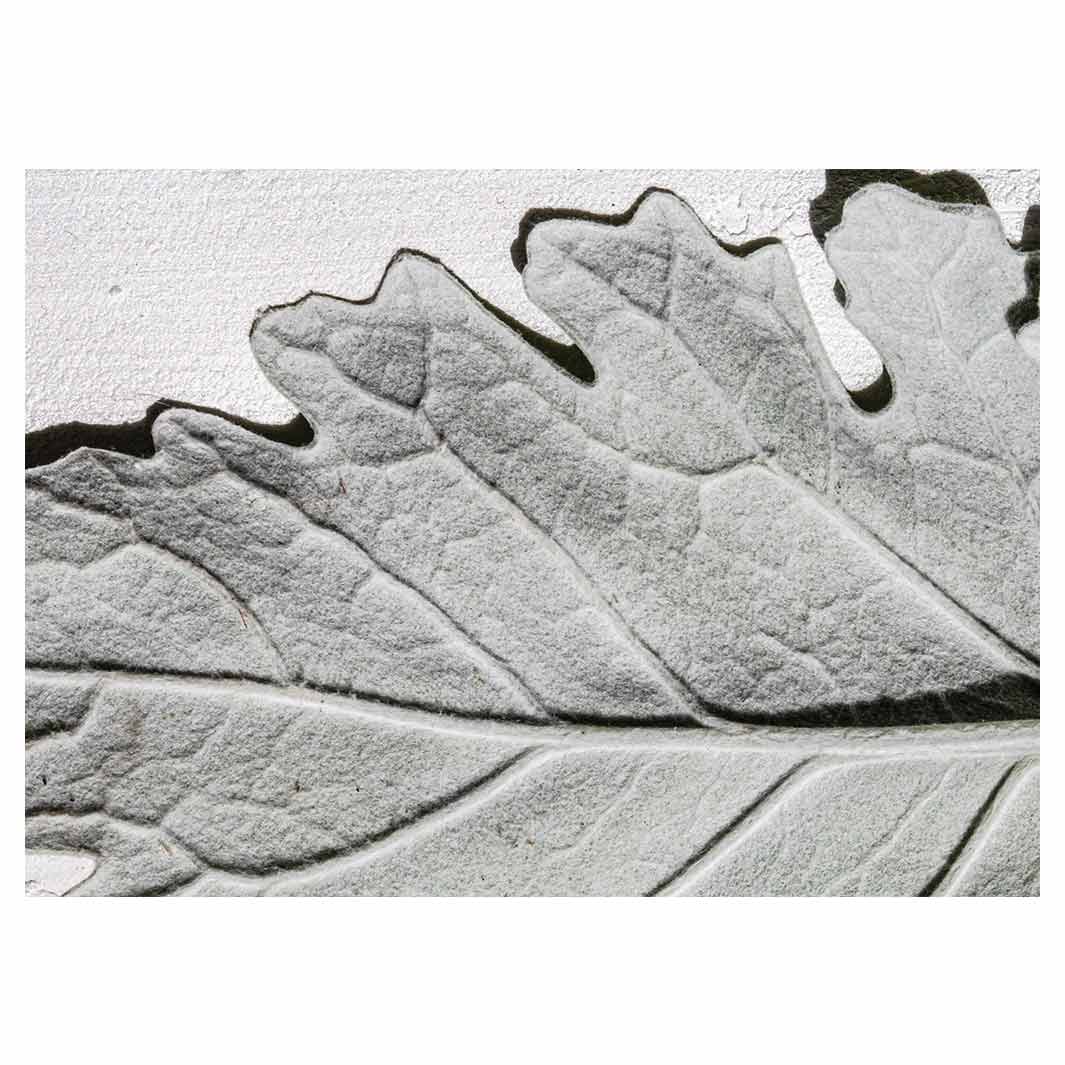 LEAVES GREY MONOCHROME LEAF TABLECLOTH