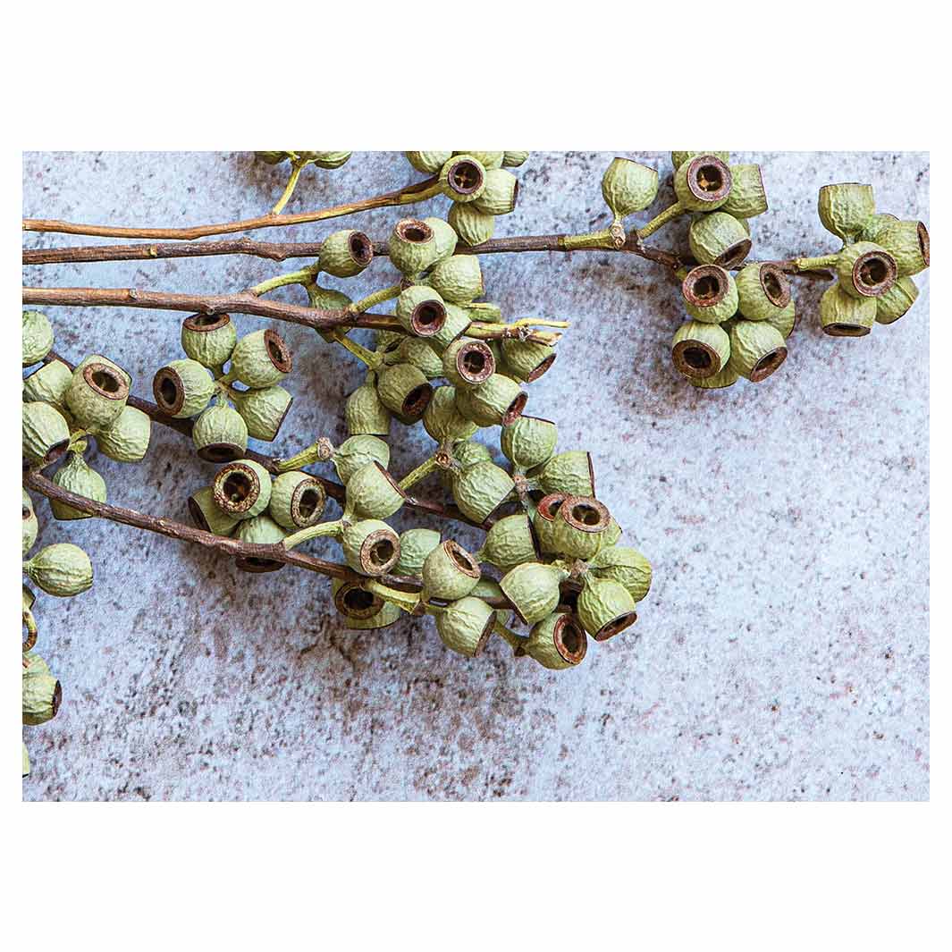 NATURAL GREEN NATURAL AMBERNUTS TABLECLOTH