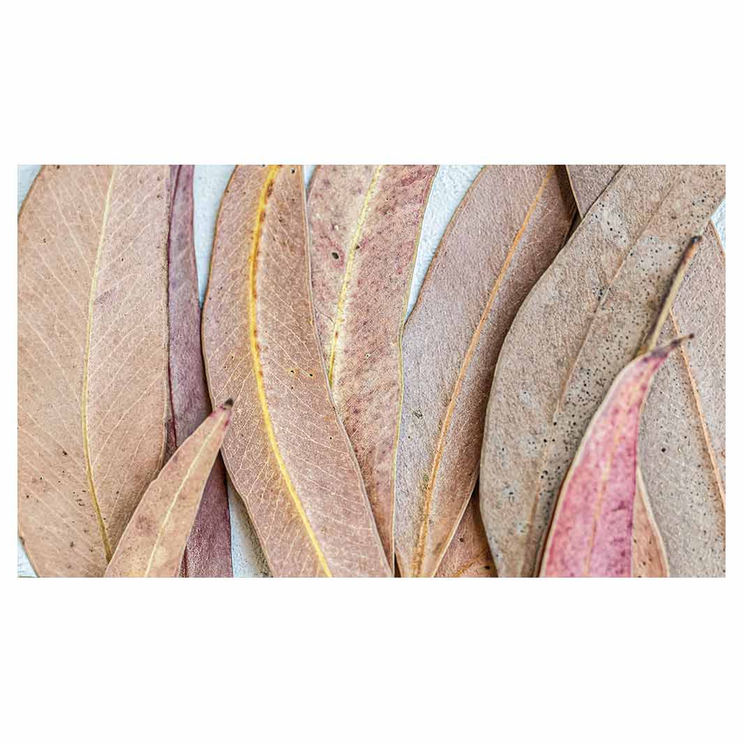 LEAVES PINK DRIED LEAVES TABLECLOTH