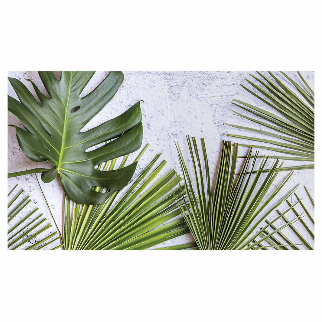 LEAVES GREEN PALM LEAVES ON WHITE TABLECLOTH