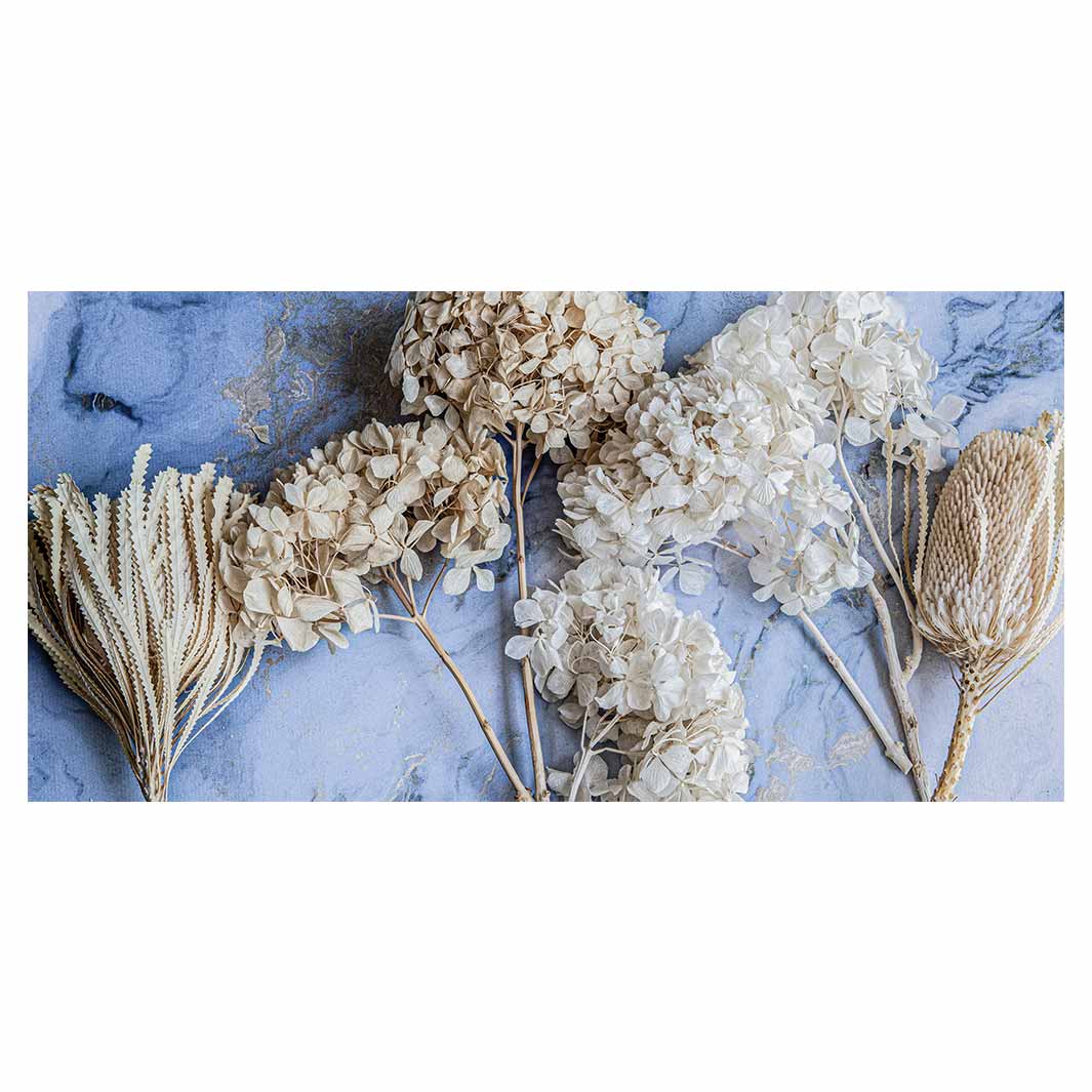 FLORAL CREAM BLEACHED HYDRANGEAS ON BLUE TABLECLOTH