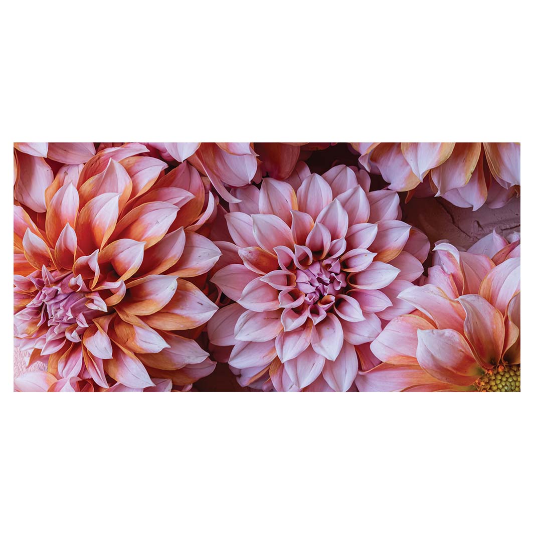 FLORAL PINK AND ORANGE DAHLIA FLOWERS TABLECLOTH