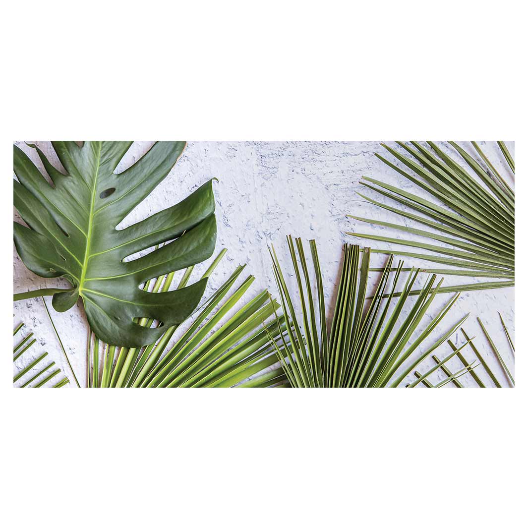 LEAVES GREEN PALM LEAVES ON WHITE TABLECLOTH