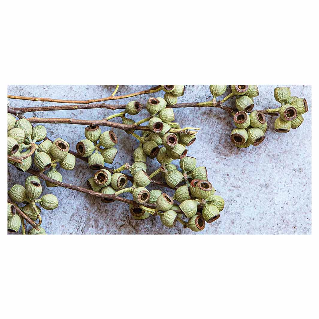 NATURAL GREEN NATURAL AMBERNUTS TABLECLOTH