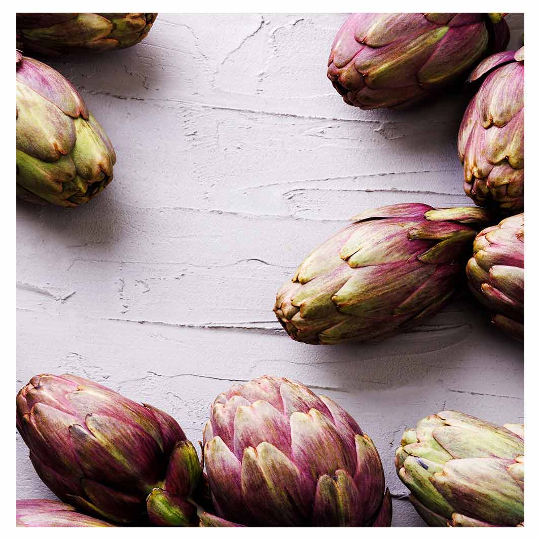 ARTICHOKE DARK PURPLE ON GREY TABLECLOTH