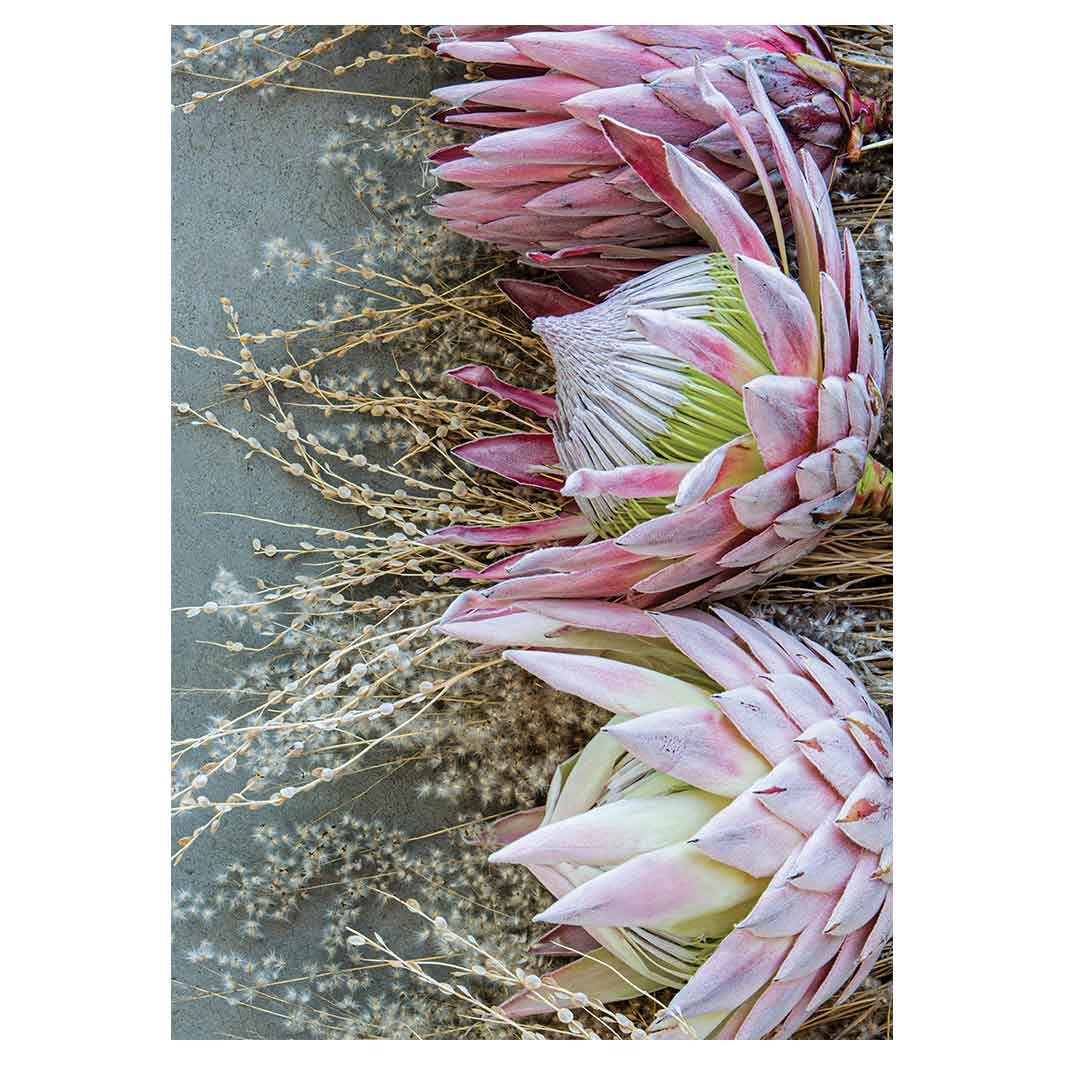 FLORAL DEEP PINK KING PROTEA TEA TOWEL