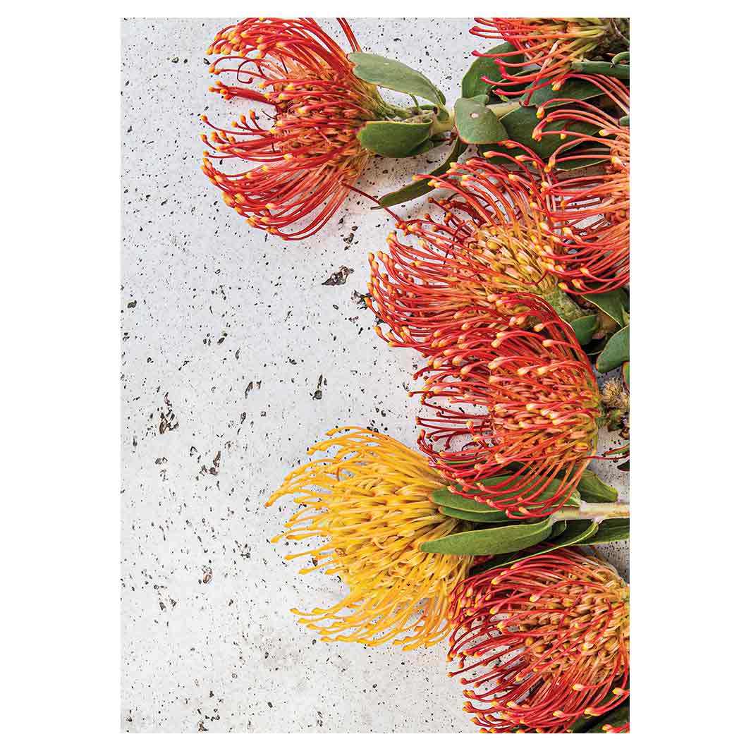 FLORAL ORANGE PIN CUSHIONS ON WHITE TEA TOWEL