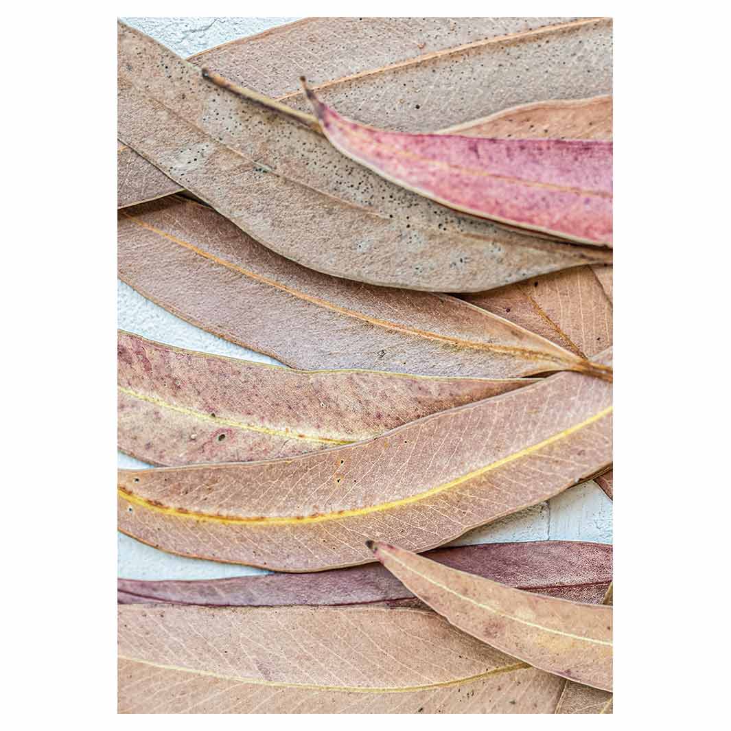 LEAVES PINK DRIED LEAVES TEA TOWEL