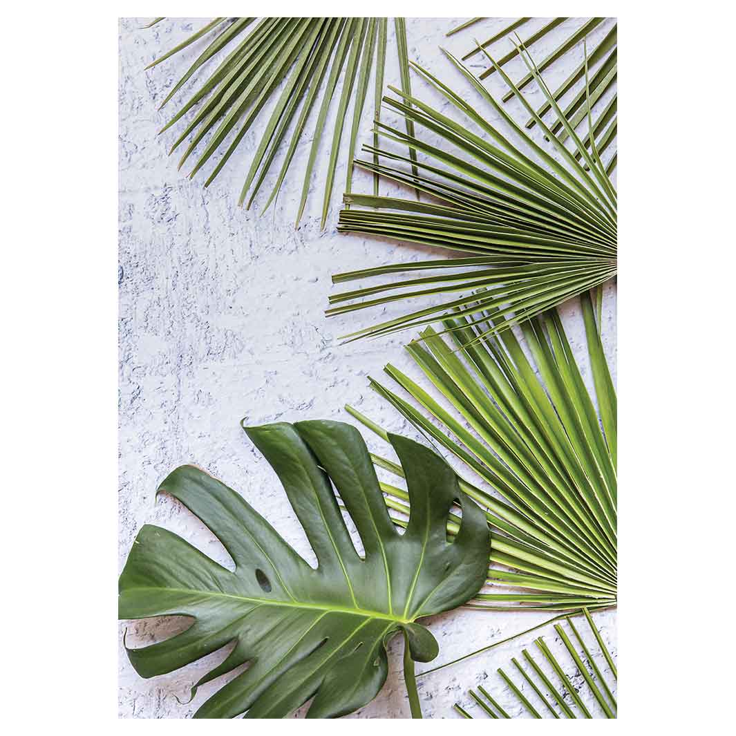 LEAVES GREEN PALM LEAVES ON WHITE TEA TOWEL