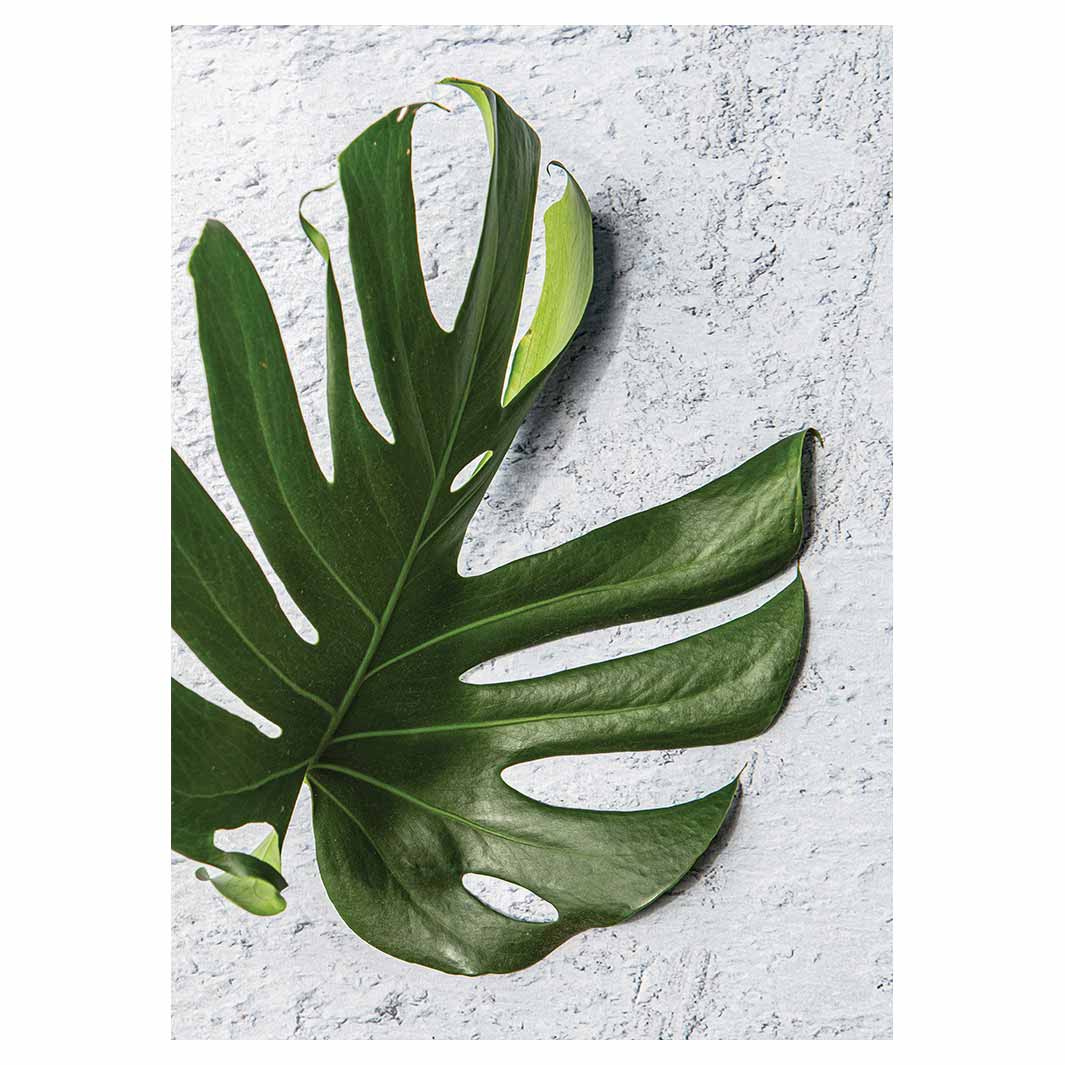 LEAVES GREEN MONSTERA LEAF TOWEL