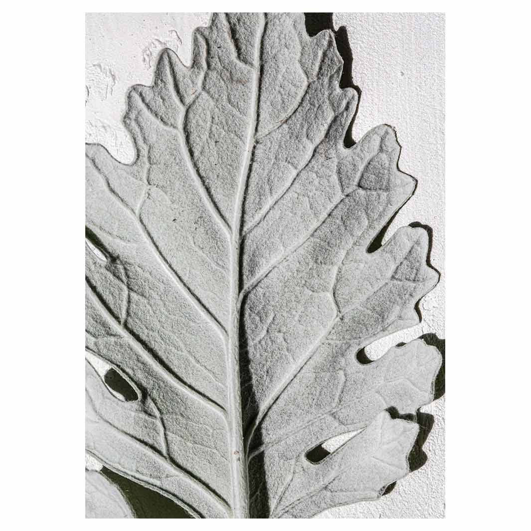 LEAVES GREY MONOCHROME LEAF TEA TOWEL