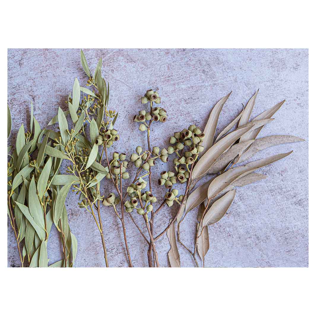 LEAVES BROWN NATURAL AMBERNUTS WITH GREEN FOLIAGE TEA TRAY