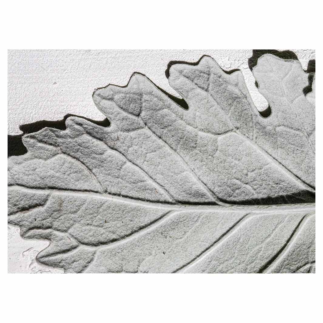 LEAVES GREY MONOCHROME LEAF TEA TRAY