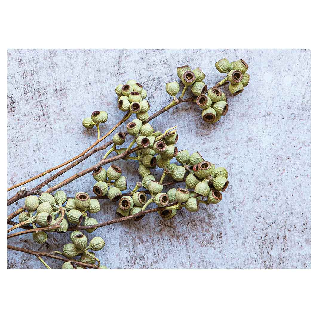 NATURAL GREEN NATURAL AMBERNUTS TEA TRAY