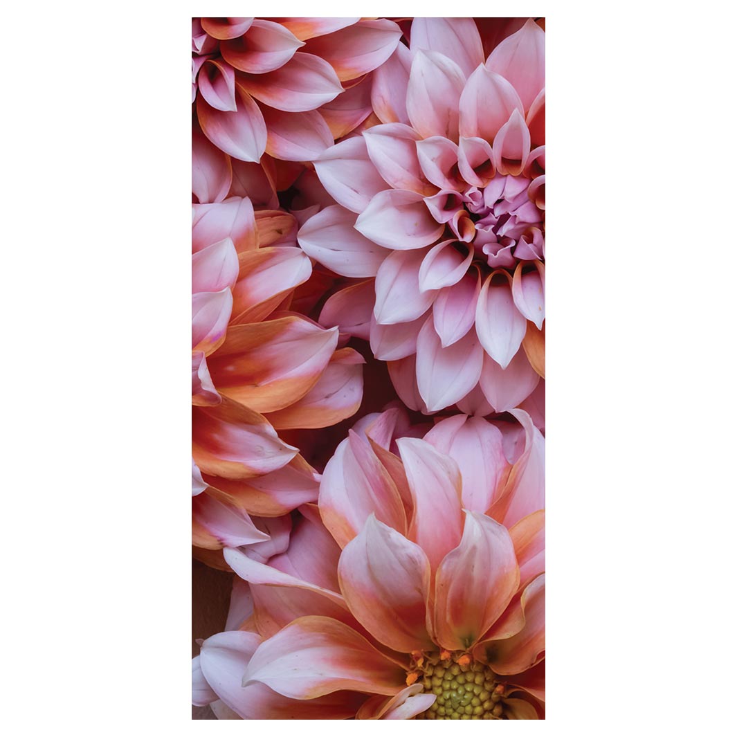 FLORAL PINK AND ORANGE DAHLIA FLOWERS VINYL FOAM RUNNER MAT