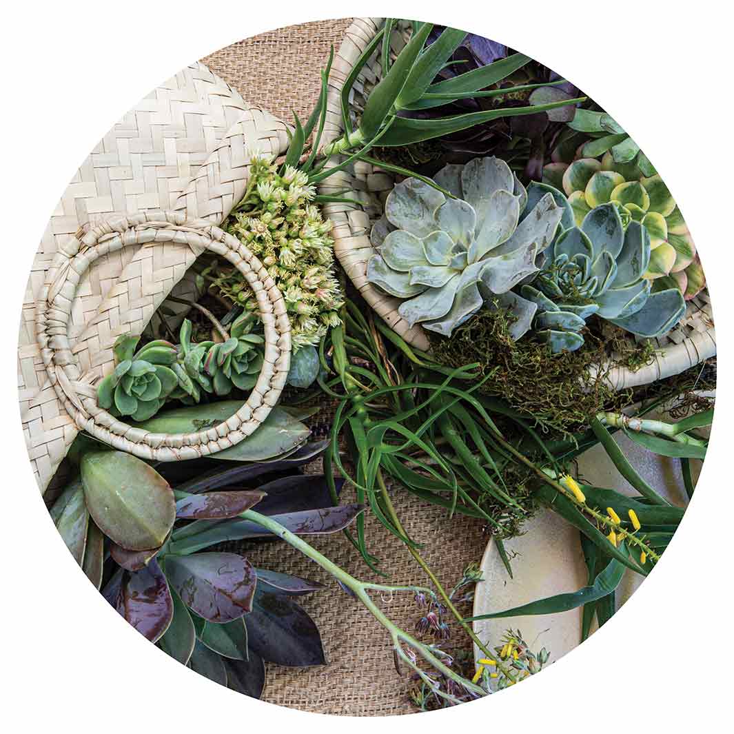 NATURAL GREEN ALOE BOUQUET IN BASKET ON HESSIAN VINYL FOAM ROUND MAT