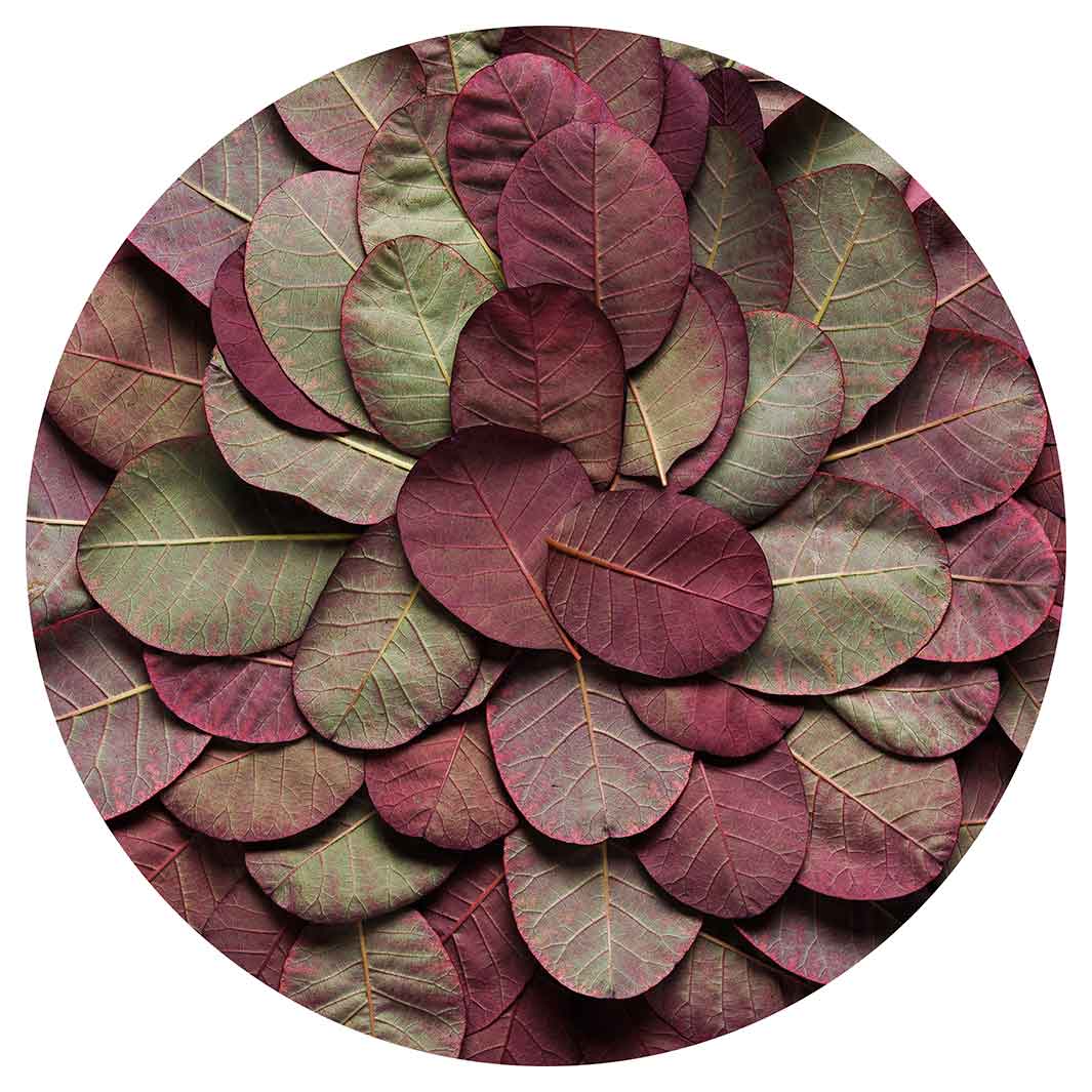 LEAF ARRANGEMENT DARK MAUVE AND GREEN VINYL FOAM ROUND MAT