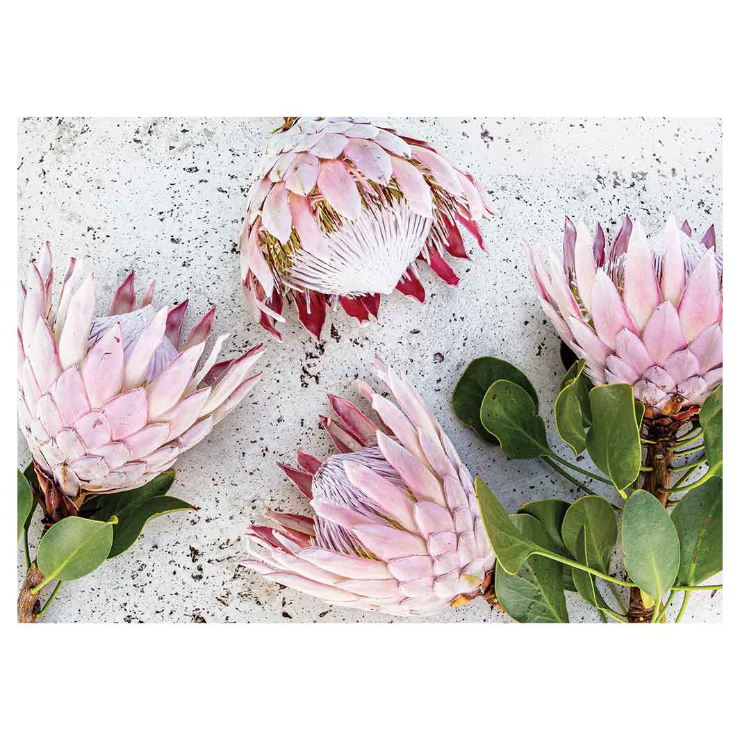 FLORAL PINK PROTEAS ON WHITE VINYL FOAM MAT