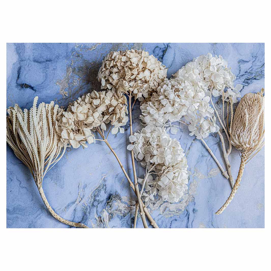 FLORAL CREAM BLEACHED HYDRANGEAS ON BLUE VINYL FOAM MAT