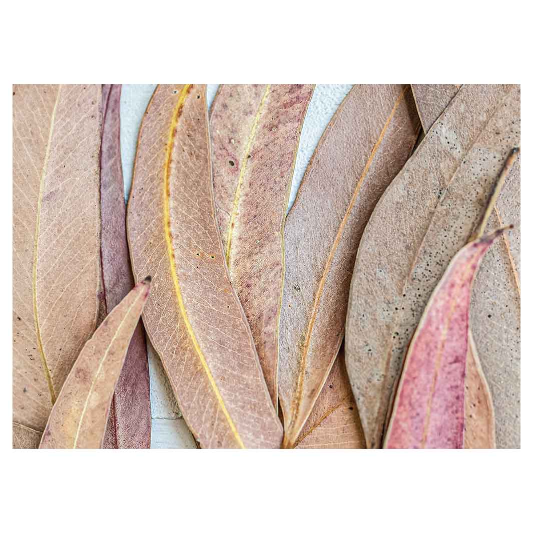 LEAVES PINK DRIED LEAVES VINYL FOAM MAT