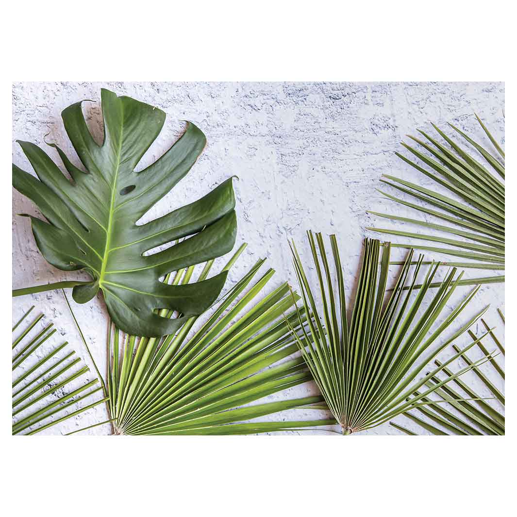 LEAVES GREEN PALM LEAVES ON WHITE VINYL FOAM MAT