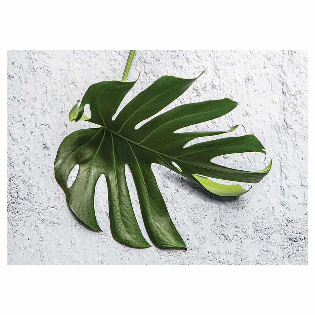 LEAVES GREEN MONSTERA LEAF VINYL FOAM MAT