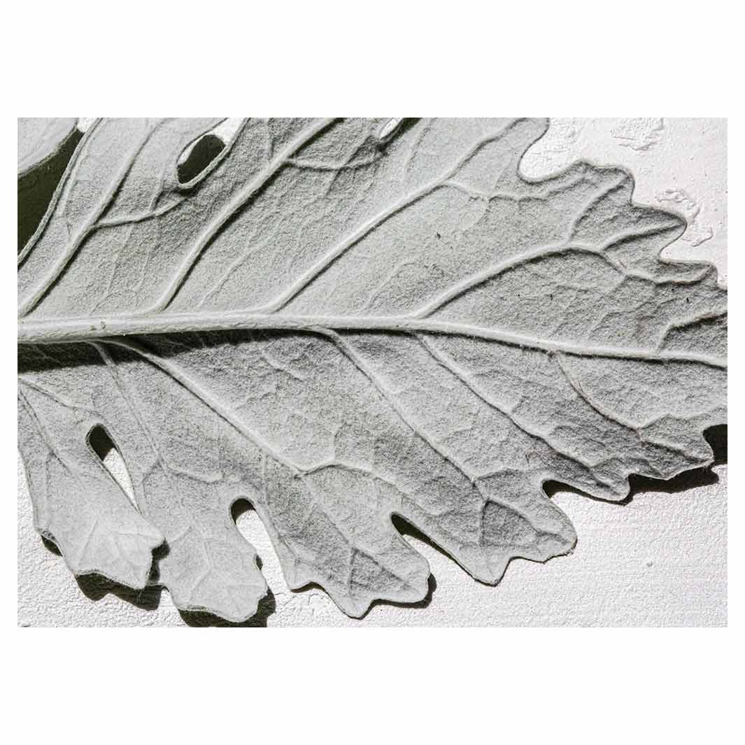 LEAVES GREY MONOCHROME LEAF VINYL FOAM MAT