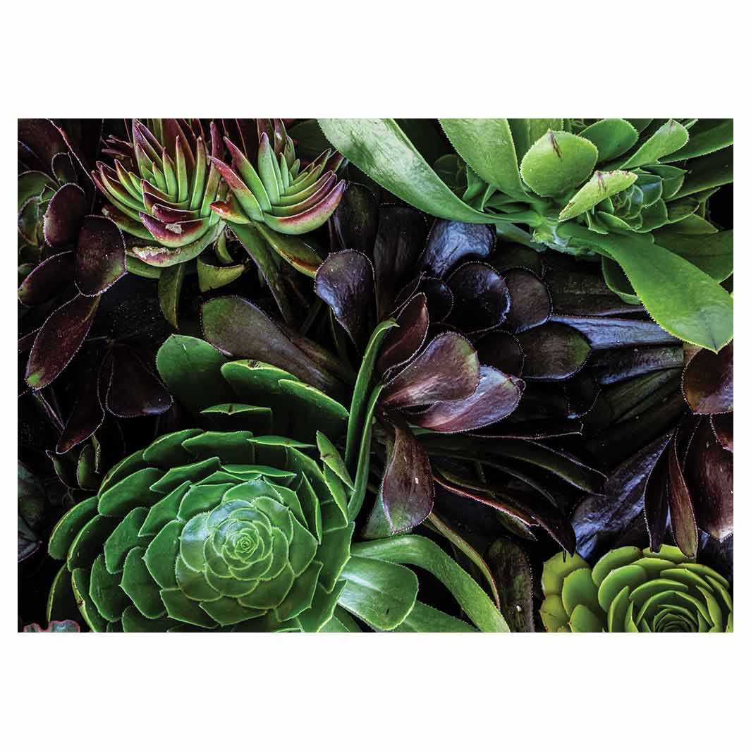 NATURAL GREEN AND PURPLE ALOE GARDEN VINYL FOAM MAT