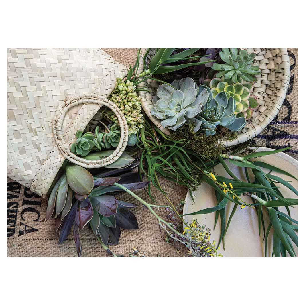 NATURAL GREEN ALOE BOUQUET IN BASKET ON HESSIAN VINYL FOAM MAT