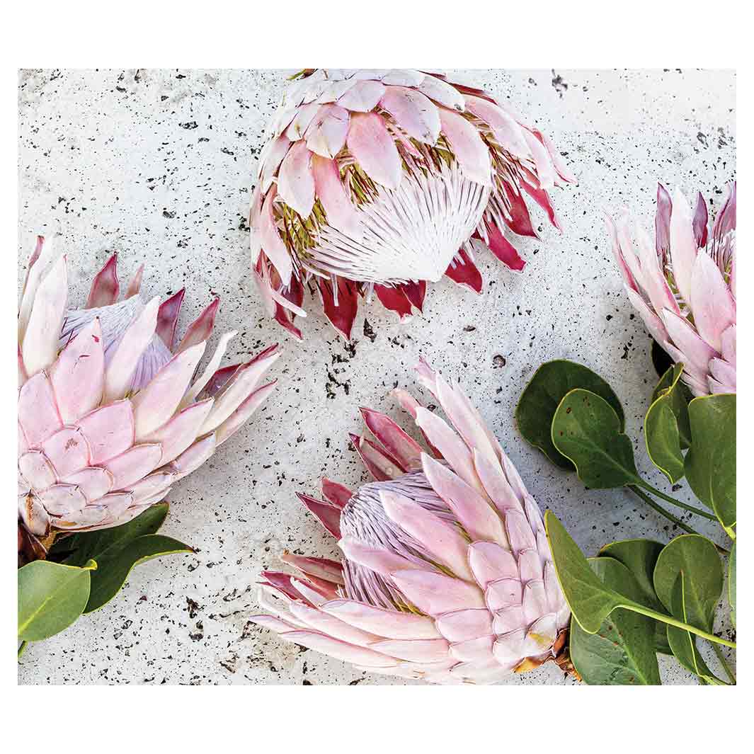 FLORAL PINK PROTEAS ON WHITE VINYL FOAM MAT