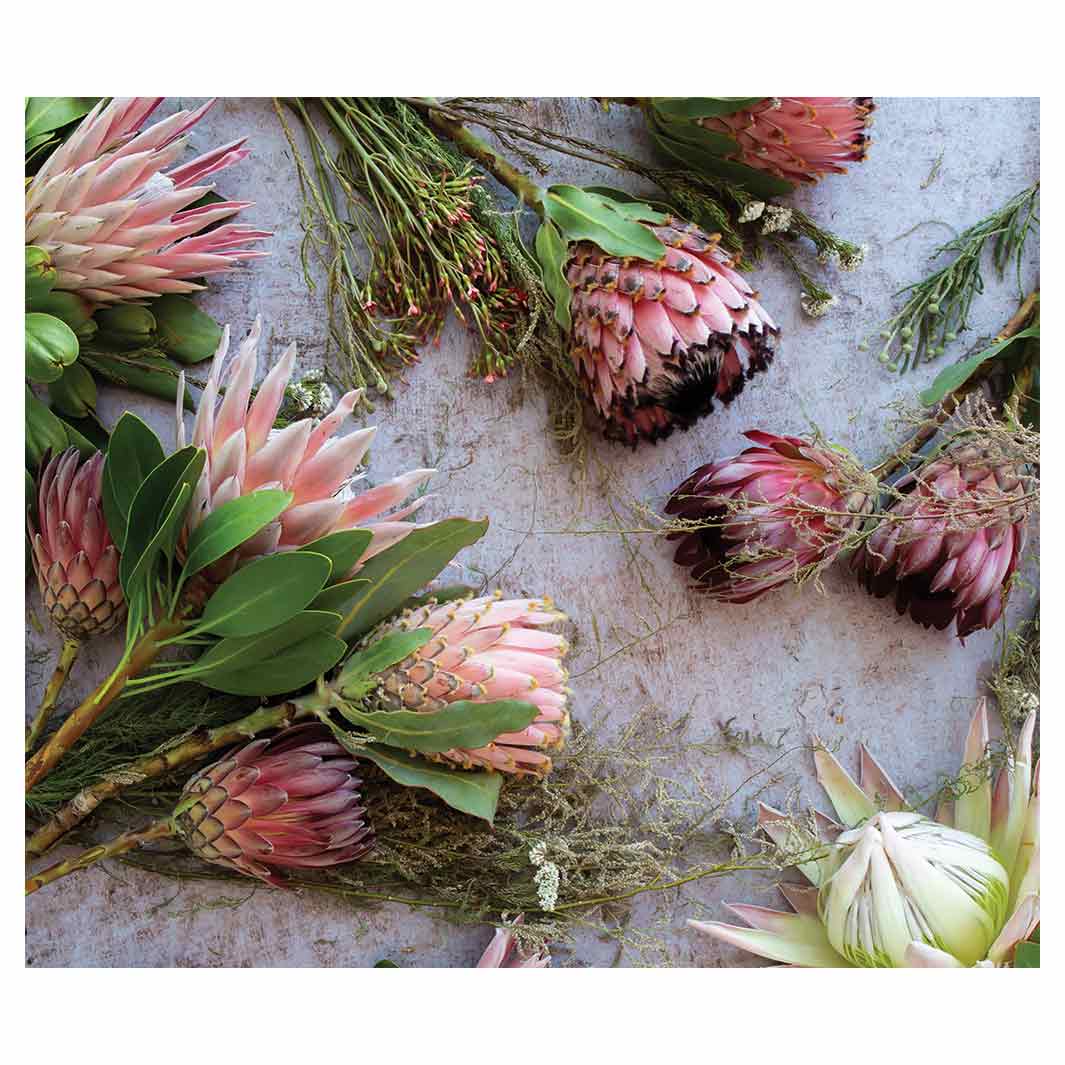 FLORAL PINK MIXED KING PROTEAS VINYL FOAM MAT