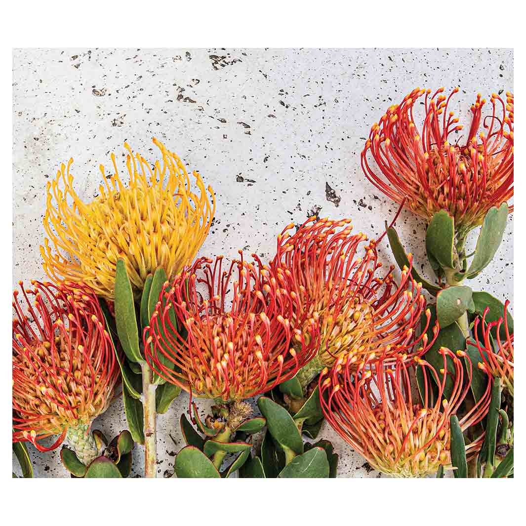 FLORAL ORANGE PIN CUSHIONS ON WHITE VINYL FOAM MAT