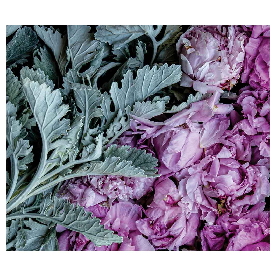 FLORAL SILVER LEAVES WITH PINK PEONIES VINYL FOAM MAT