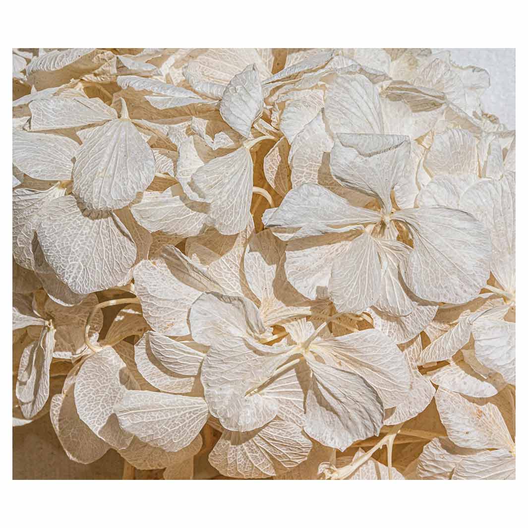 FLORAL CREAM BLEACHED HYDRANGEA LEAVES VINYL FOAM MAT