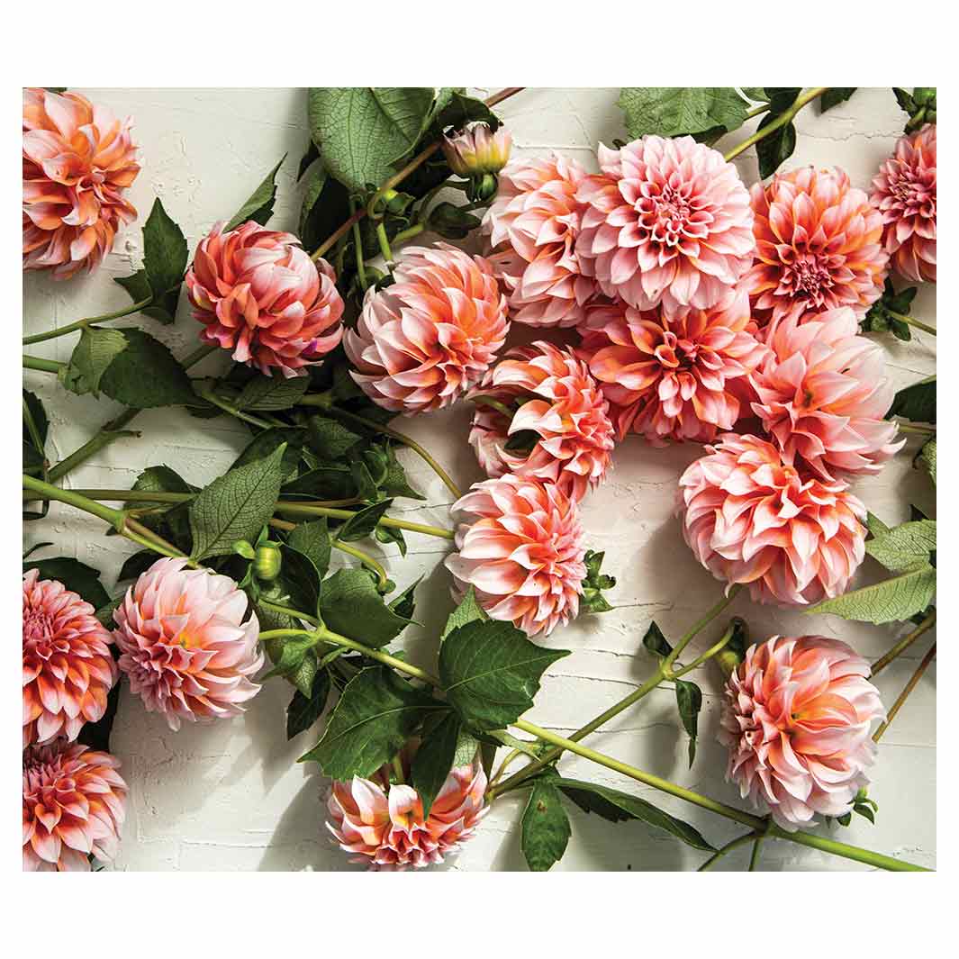 FLORAL ORANGE SCATTERED DAHLIAS WITH LEAVES VINYL FOAM MAT