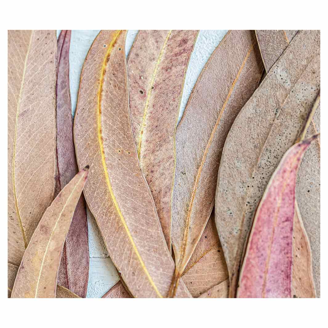 LEAVES PINK DRIED LEAVES VINYL FOAM MAT