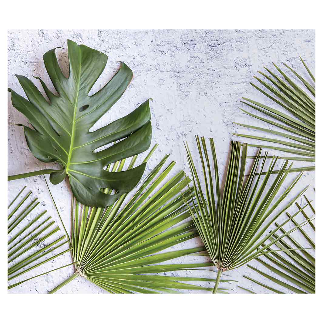 LEAVES GREEN PALM LEAVES ON WHITE VINYL FOAM MAT