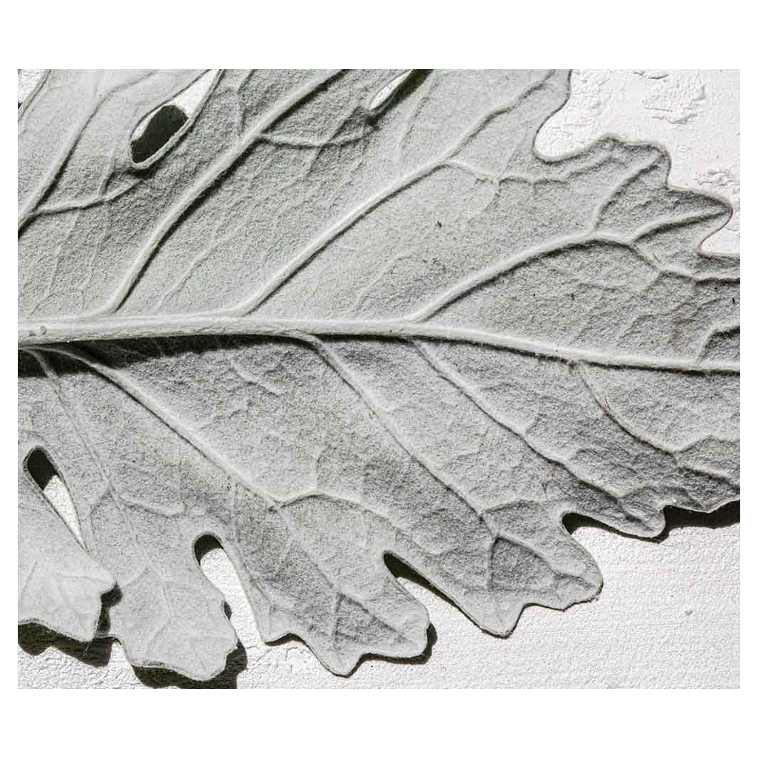 LEAVES GREY MONOCHROME LEAF VINYL FOAM MAT