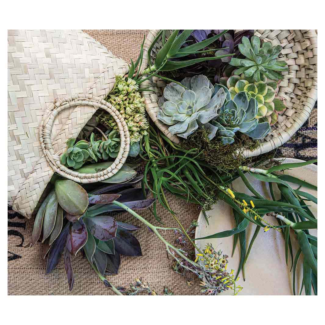 NATURAL GREEN ALOE BOUQUET IN BASKET ON HESSIAN VINYL FOAM MAT