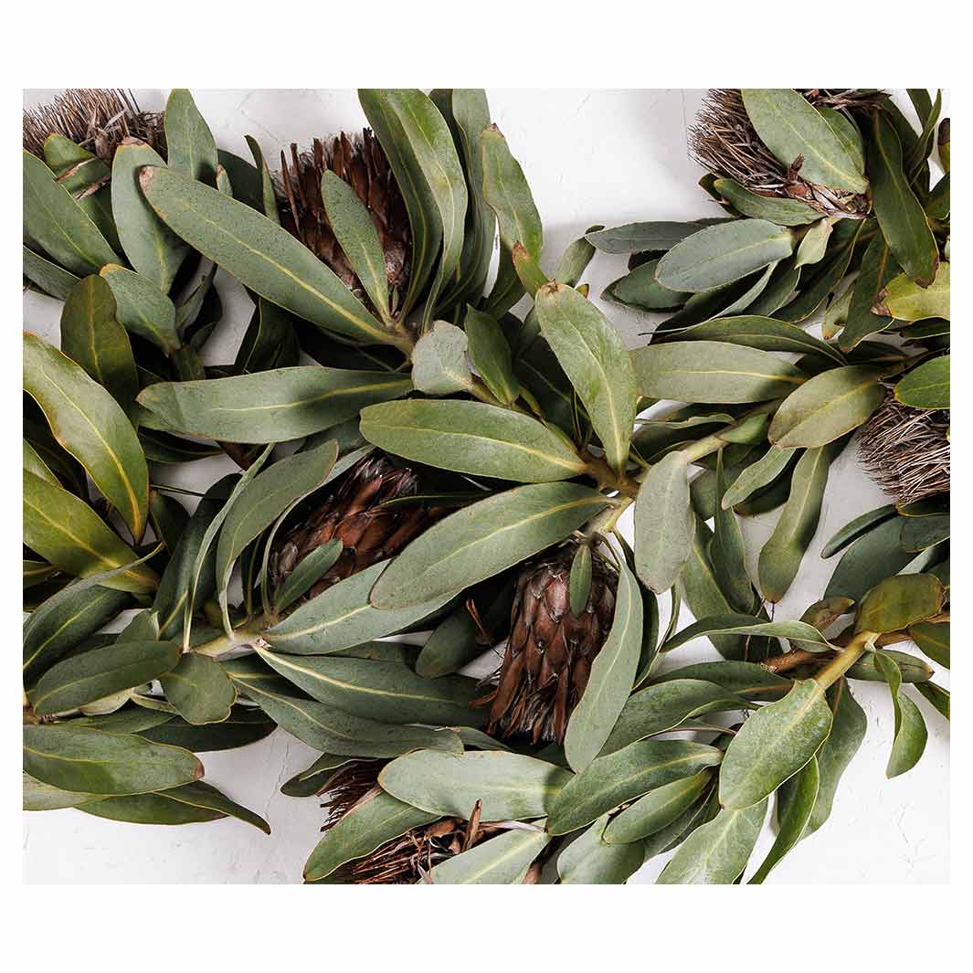 DRIED PROTEA WITH GREEN LEAVES VINYL FOAM MAT