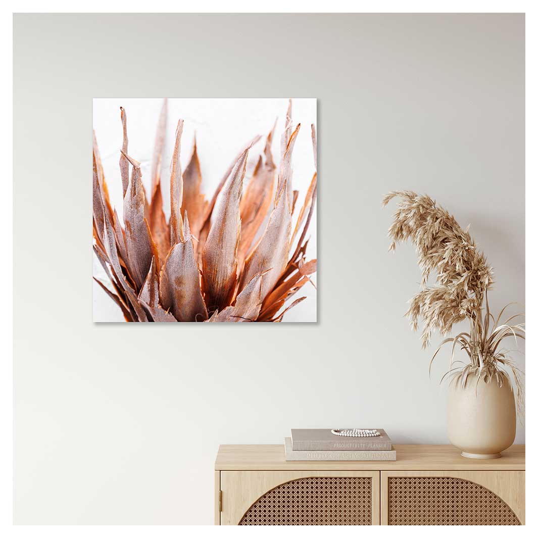 DRIED PINK PROTEA PERSPEX